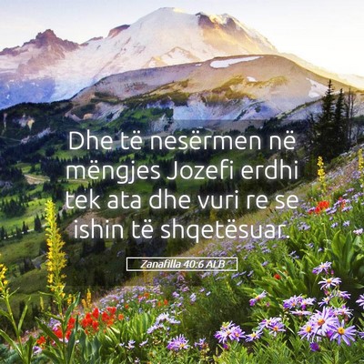 Picture 05 - Zanafilla 40:6 ALB - Dhe të nesërmen në mëngjes Jozefi erdhi tek - Bible Verse Picture