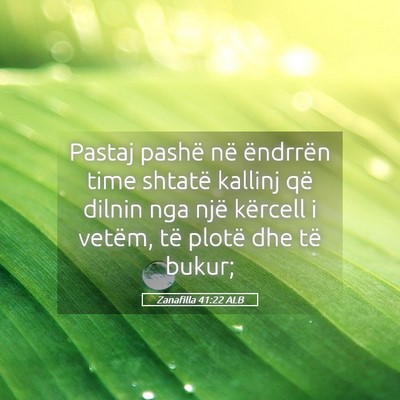 Picture 05 - Zanafilla 41:22 ALB - Pastaj pashë në ëndrrën time shtatë kallinj - Bible Verse Picture