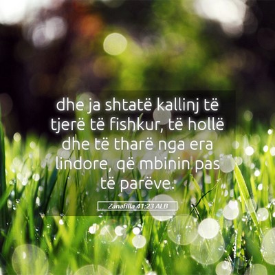 Picture 05 - Zanafilla 41:23 ALB - dhe ja shtatë kallinj të tjerë të fishkur, - Bible Verse Picture