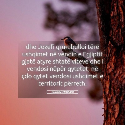 Picture 05 - Zanafilla 41:48 ALB - dhe Jozefi grumbulloi tërë ushqimet në vendin - Bible Verse Picture