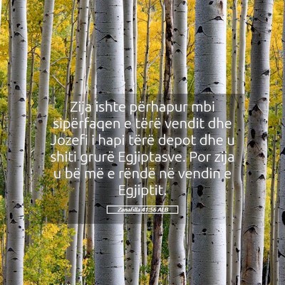 Picture 05 - Zanafilla 41:56 ALB - Zija ishte përhapur mbi sipërfaqen e tërë - Bible Verse Picture