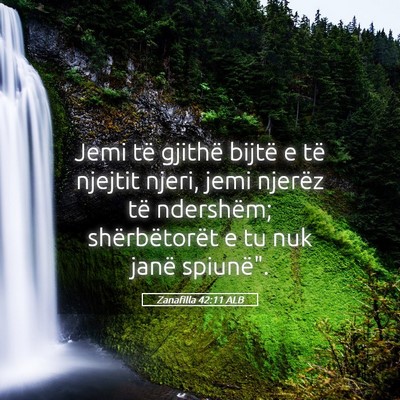 Picture 05 - Zanafilla 42:11 ALB - Jemi të gjithë bijtë e të njejtit njeri, jemi - Bible Verse Picture