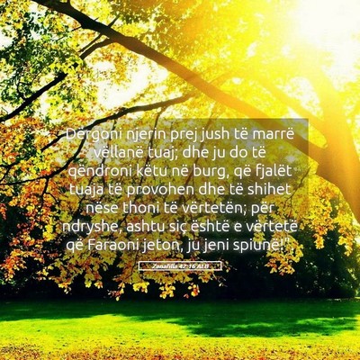 Picture 05 - Zanafilla 42:16 ALB - Dërgoni njerin prej jush të marrë vëllanë - Bible Verse Picture