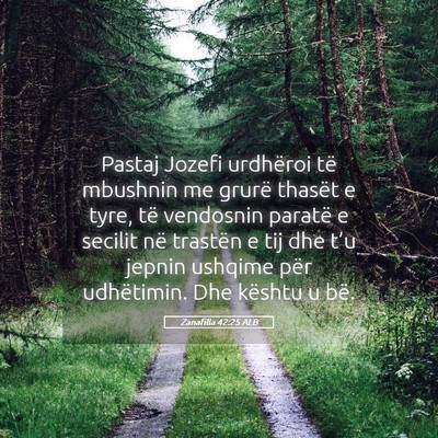 Picture 05 - Zanafilla 42:25 ALB - Pastaj Jozefi urdhëroi të mbushnin me grurë - Bible Verse Picture