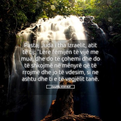Picture 05 - Zanafilla 43:8 ALB - Pastaj Juda i tha Izraelit, atit të tij: 