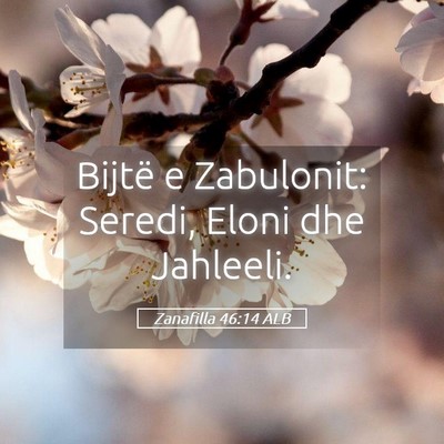 Picture 05 - Zanafilla 46:14 ALB - Bijtë e Zabulonit: Seredi, Eloni dhe - Bible Verse Picture