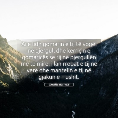 Picture 05 - Zanafilla 49:11 ALB - Ai e lidh gomarin e tij të vogël në pjergull - Bible Verse Picture