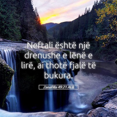 Picture 05 - Zanafilla 49:21 ALB - Neftali është një drenushe e lënë e lirë, - Bible Verse Picture