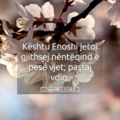 Picture 05 - Zanafilla 5:11 ALB - Kështu Enoshi jetoi gjithsej nëntëqind e pesë - Bible Verse Picture