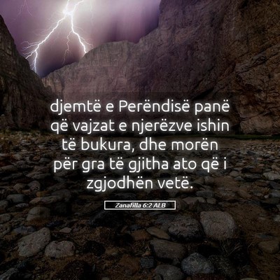 Picture 05 - Zanafilla 6:2 ALB - djemtë e Perëndisë panë që vajzat e - Bible Verse Picture