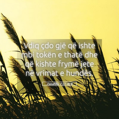 Picture 05 - Zanafilla 7:22 ALB - Vdiq çdo gjë që ishte mbi tokën e thatë dhe - Bible Verse Picture