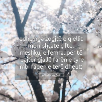 Picture 05 - Zanafilla 7:3 ALB - edhe nga zogjtë e qiellit merr shtatë çifte, - Bible Verse Picture