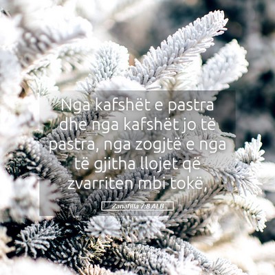 Picture 05 - Zanafilla 7:8 ALB - Nga kafshët e pastra dhe nga kafshët jo të - Bible Verse Picture