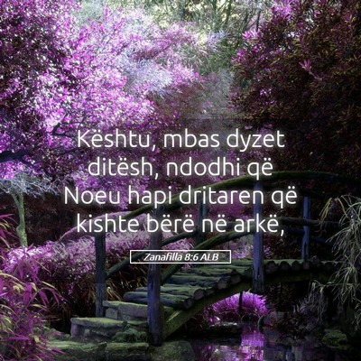 Picture 05 - Zanafilla 8:6 ALB - Kështu, mbas dyzet ditësh, ndodhi që Noeu hapi - Bible Verse Picture