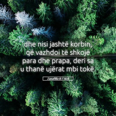 Picture 05 - Zanafilla 8:7 ALB - dhe nisi jashtë korbin, që vazhdoi të shkojë - Bible Verse Picture