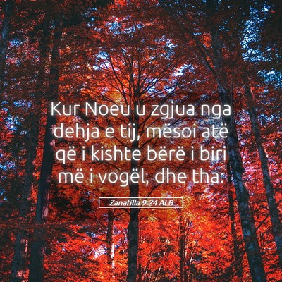 Picture 05 - Zanafilla 9:24 ALB - Kur Noeu u zgjua nga dehja e tij, mësoi atë që - Bible Verse Picture