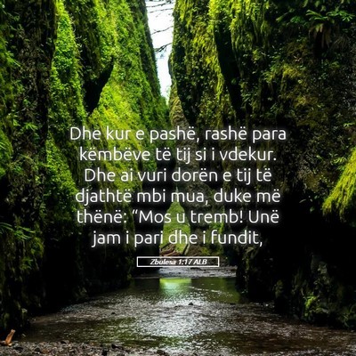 Picture 05 - Zbulesa 1:17 ALB - Dhe kur e pashë, rashë para këmbëve të tij - Bible Verse Picture