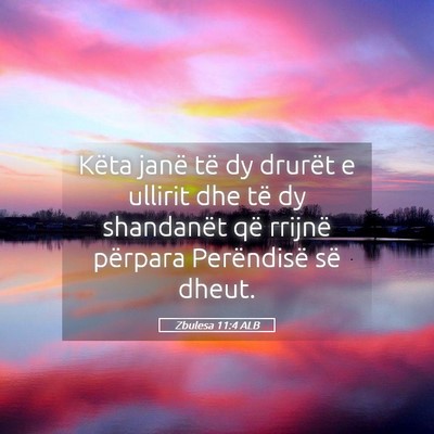 Picture 05 - Zbulesa 11:4 ALB - Këta janë të dy drurët e ullirit dhe të dy - Bible Verse Picture