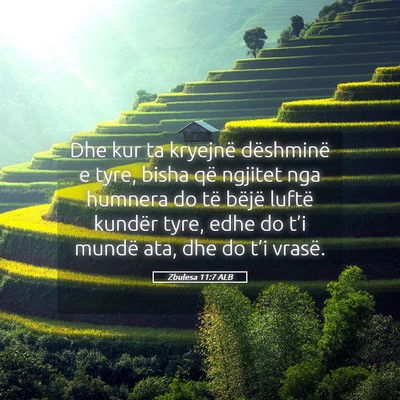 Picture 05 - Zbulesa 11:7 ALB - Dhe kur ta kryejnë dëshminë e tyre, bisha që - Bible Verse Picture