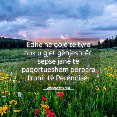 Picture 05 - Zbulesa 14:5 ALB - Edhe në gojë të tyre nuk u gjet gënjeshtër, - Bible Verse Picture