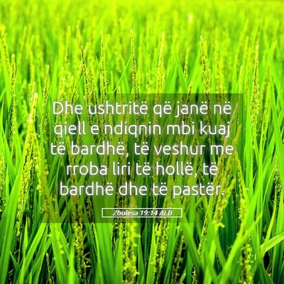 Picture 05 - Zbulesa 19:14 ALB - Dhe ushtritë që janë në qiell e ndiqnin mbi - Bible Verse Picture