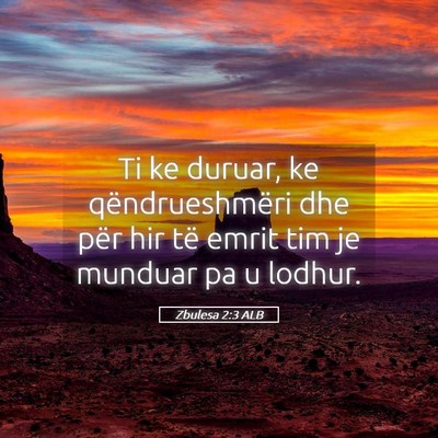 Picture 05 - Zbulesa 2:3 ALB - Ti ke duruar, ke qëndrueshmëri dhe për hir të - Bible Verse Picture