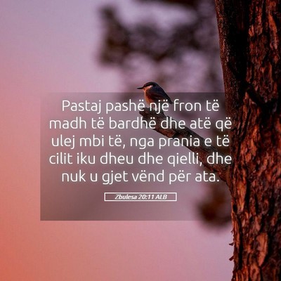 Picture 05 - Zbulesa 20:11 ALB - Pastaj pashë një fron të madh të bardhë dhe - Bible Verse Picture