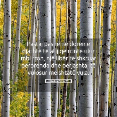 Picture 05 - Zbulesa 5:1 ALB - Pastaj pashë në dorën e djathtë të atij që - Bible Verse Picture