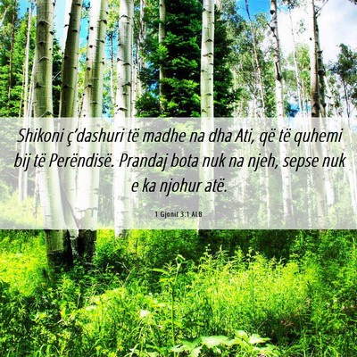 Picture 06 - 1 Gjonit 3:1 ALB - Shikoni ç’dashuri të madhe na dha Ati, që - Bible Verse Picture
