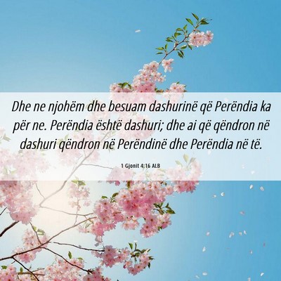 Picture 06 - 1 Gjonit 4:16 ALB - Dhe ne njohëm dhe besuam dashurinë që - Bible Verse Picture