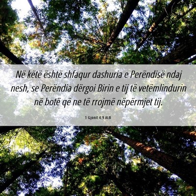 Picture 06 - 1 Gjonit 4:9 ALB - Në këtë është shfaqur dashuria e Perëndisë - Bible Verse Picture