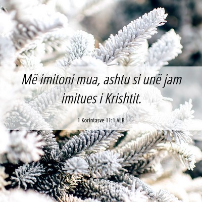 Picture 06 - 1 Korintasve 11:1 ALB - Më imitoni mua, ashtu si unë jam imitues i - Bible Verse Picture
