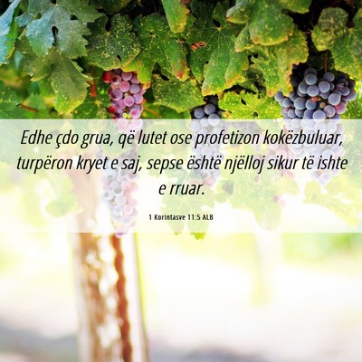 Picture 06 - 1 Korintasve 11:5 ALB - Edhe çdo grua, që lutet ose profetizon - Bible Verse Picture
