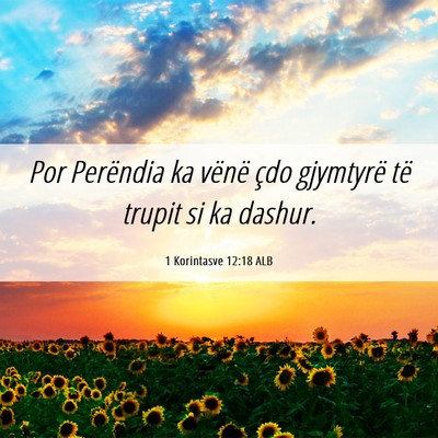 Picture 06 - 1 Korintasve 12:18 ALB - Por Perëndia ka vënë çdo gjymtyrë të trupit - Bible Verse Picture