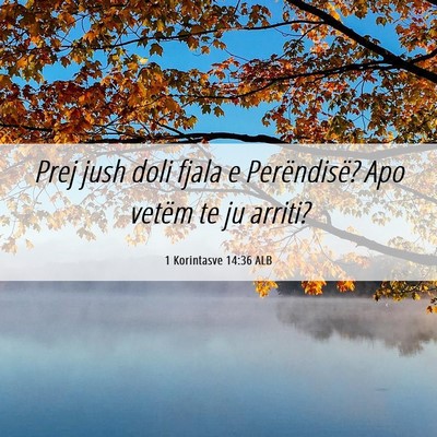 Picture 06 - 1 Korintasve 14:36 ALB - Prej jush doli fjala e Perëndisë? Apo vetëm te - Bible Verse Picture