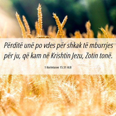 Picture 06 - 1 Korintasve 15:31 ALB - Përditë unë po vdes për shkak të mburrjes - Bible Verse Picture