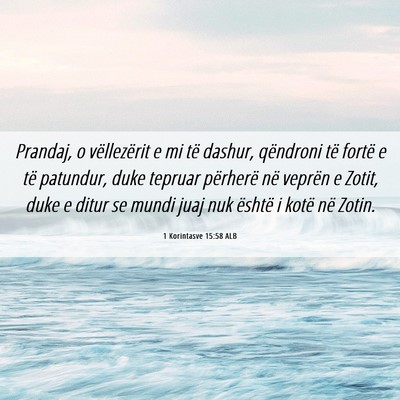 Picture 06 - 1 Korintasve 15:58 ALB - Prandaj, o vëllezërit e mi të dashur, - Bible Verse Picture