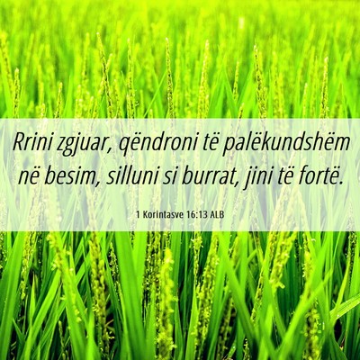 Picture 06 - 1 Korintasve 16:13 ALB - Rrini zgjuar, qëndroni të palëkundshëm në - Bible Verse Picture