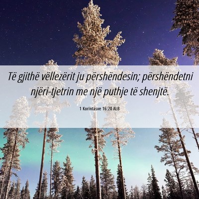 Picture 06 - 1 Korintasve 16:20 ALB - Të gjithë vëllezërit ju përshëndesin; - Bible Verse Picture
