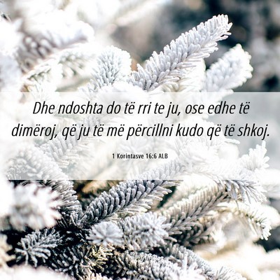 Picture 06 - 1 Korintasve 16:6 ALB - Dhe ndoshta do të rri te ju, ose edhe të - Bible Verse Picture