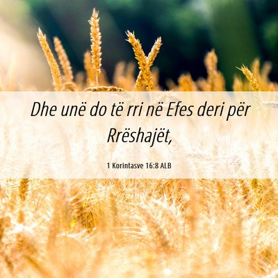 Picture 06 - 1 Korintasve 16:8 ALB - Dhe unë do të rri në Efes deri për - Bible Verse Picture