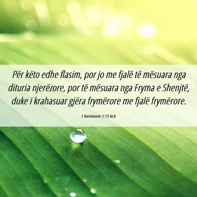Picture 06 - 1 Korintasve 2:13 ALB - Për këto edhe flasim, por jo me fjalë të - Bible Verse Picture