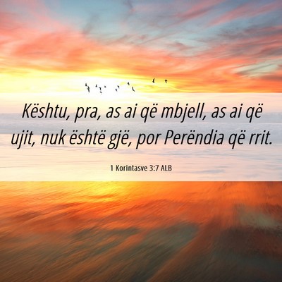 Picture 06 - 1 Korintasve 3:7 ALB - Kështu, pra, as ai që mbjell, as ai që ujit, - Bible Verse Picture