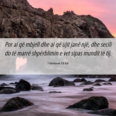 Picture 06 - 1 Korintasve 3:8 ALB - Por ai që mbjell dhe ai që ujit janë një, dhe - Bible Verse Picture