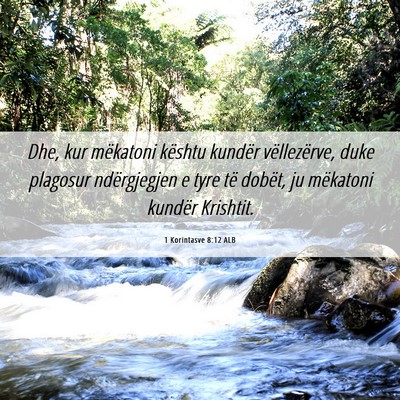 Picture 06 - 1 Korintasve 8:12 ALB - Dhe, kur mëkatoni kështu kundër vëllezërve, - Bible Verse Picture