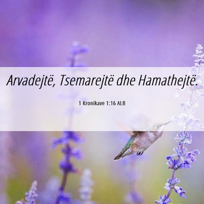 Picture 06 - 1 Kronikave 1:16 ALB - Arvadejtë, Tsemarejtë dhe - Bible Verse Picture