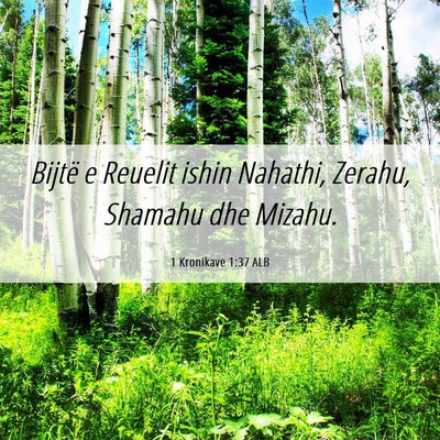 Picture 06 - 1 Kronikave 1:37 ALB - Bijtë e Reuelit ishin Nahathi, Zerahu, Shamahu - Bible Verse Picture