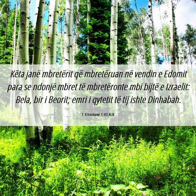 Picture 06 - 1 Kronikave 1:43 ALB - Këta janë mbretërit që mbretëruan në vendin - Bible Verse Picture