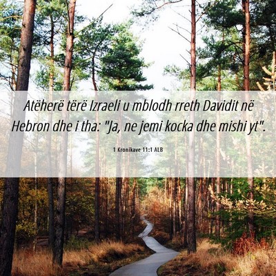 Picture 06 - 1 Kronikave 11:1 ALB - Atëherë tërë Izraeli u mblodh rreth Davidit - Bible Verse Picture