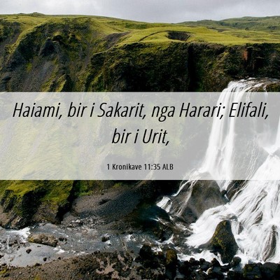 Picture 06 - 1 Kronikave 11:35 ALB - Haiami, bir i Sakarit, nga Harari; Elifali, bir i - Bible Verse Picture